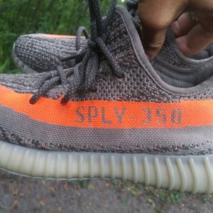 Sply-350 adidas